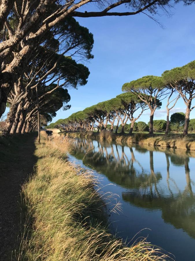 Villa Pintourina Salleles-d'Aude Екстер'єр фото
